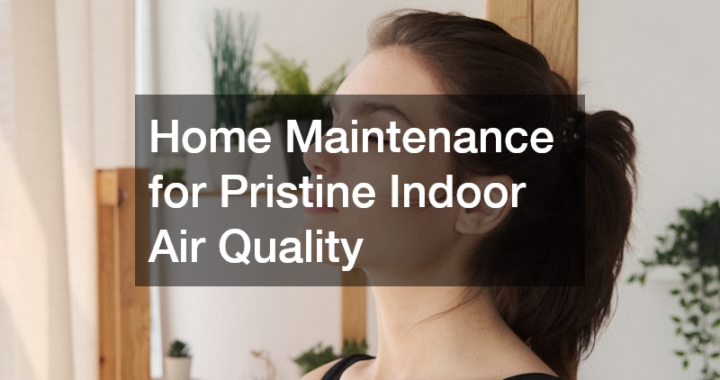 Home Maintenance for Pristine Indoor Air Quality